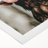 Farmhouse Wall Art - Rustic Close-Up of Chicken for Country Decor