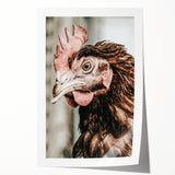 Farmhouse Wall Art - Rustic Close-Up of Chicken for Country Decor