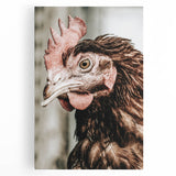 Farmhouse Wall Art - Rustic Close-Up of Chicken for Country Decor