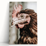 Farmhouse Wall Art - Rustic Close-Up of Chicken for Country Decor