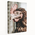 Farmhouse Wall Art - Rustic Close-Up of Chicken for Country Decor