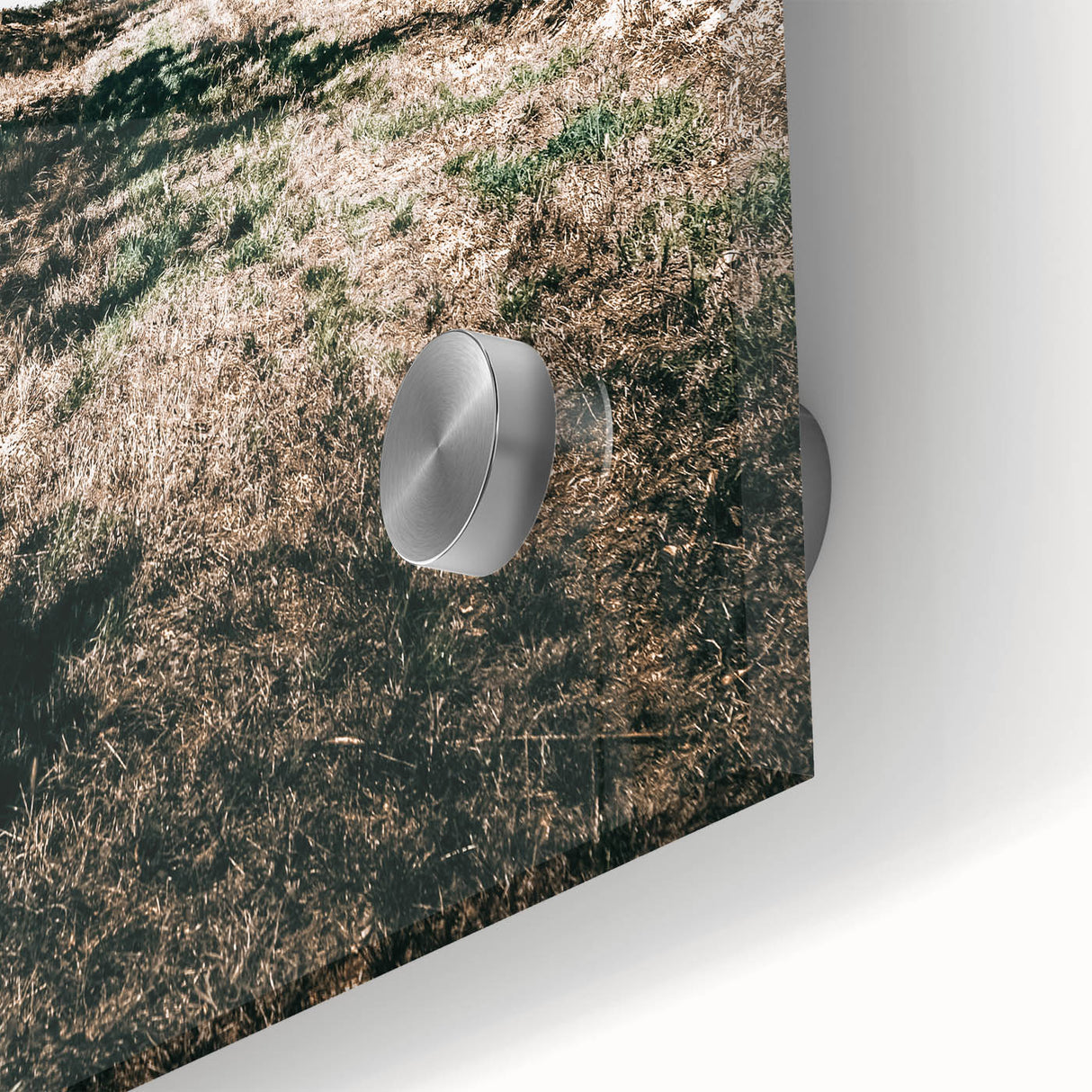 Farmhouse Wall Art - Rustic Barn and Pathway Under Trees for Country Decor