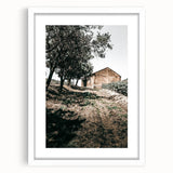 Farmhouse Wall Art - Rustic Barn and Pathway Under Trees for Country Decor