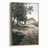 Farmhouse Wall Art - Rustic Barn and Pathway Under Trees for Country Decor