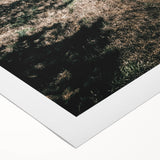 Farmhouse Wall Art - Rustic Barn and Pathway Under Trees for Country Decor