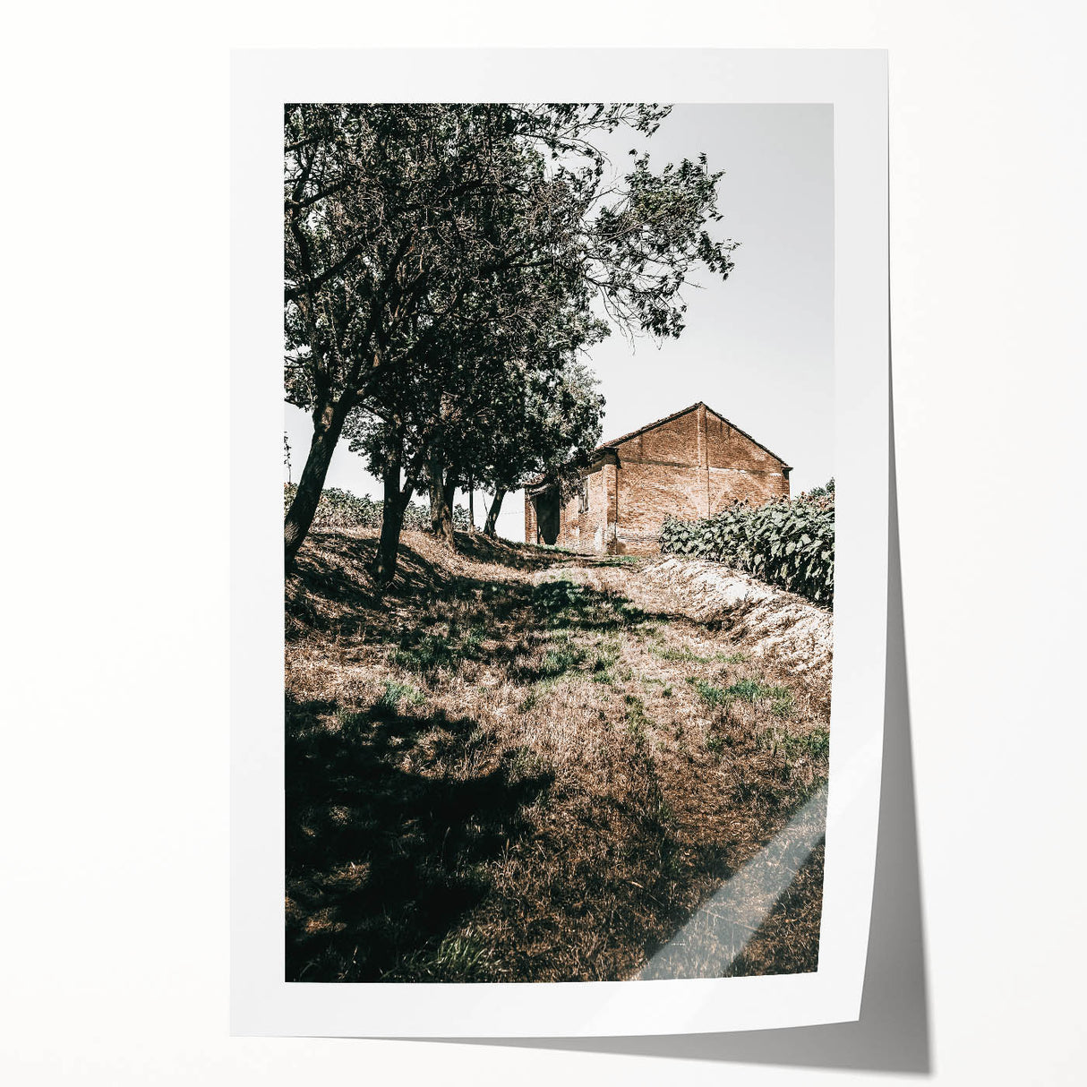 Farmhouse Wall Art - Rustic Barn and Pathway Under Trees for Country Decor