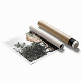 Farmhouse Wall Art - Rustic Barn and Pathway Under Trees for Country Decor