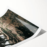 Farmhouse Wall Art - Rustic Barn and Pathway Under Trees for Country Decor