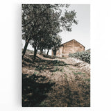 Farmhouse Wall Art - Rustic Barn and Pathway Under Trees for Country Decor