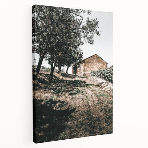 Farmhouse Wall Art - Rustic Barn and Pathway Under Trees for Country Decor