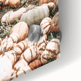 Harvest Pumpkin Patch Wall Art | Rustic Farmhouse Decor for Fall Homes