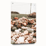 Harvest Pumpkin Patch Wall Art | Rustic Farmhouse Decor for Fall Homes