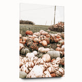 Harvest Pumpkin Patch Wall Art | Rustic Farmhouse Decor for Fall Homes