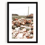 Harvest Pumpkin Patch Wall Art | Rustic Farmhouse Decor for Fall Homes