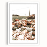 Harvest Pumpkin Patch Wall Art | Rustic Farmhouse Decor for Fall Homes