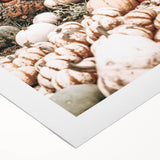 Harvest Pumpkin Patch Wall Art | Rustic Farmhouse Decor for Fall Homes