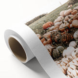 Harvest Pumpkin Patch Wall Art | Rustic Farmhouse Decor for Fall Homes