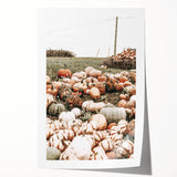 Harvest Pumpkin Patch Wall Art | Rustic Farmhouse Decor for Fall Homes
