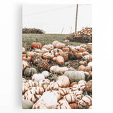 Harvest Pumpkin Patch Wall Art | Rustic Farmhouse Decor for Fall Homes