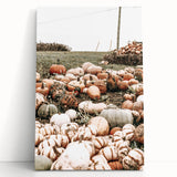 Harvest Pumpkin Patch Wall Art | Rustic Farmhouse Decor for Fall Homes