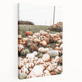 Harvest Pumpkin Patch Wall Art | Rustic Farmhouse Decor for Fall Homes