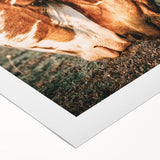 Heartfelt Horses Grazing Wall Art | Rustic Farmhouse Decor for Country Homes