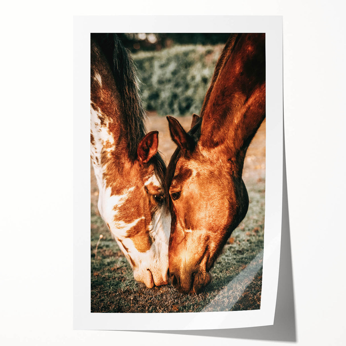 Heartfelt Horses Grazing Wall Art | Rustic Farmhouse Decor for Country Homes