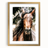 Majestic Horse Close-Up Wall Art | Rustic Farmhouse Decor for Country Homes