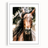 Majestic Horse Close-Up Wall Art | Rustic Farmhouse Decor for Country Homes