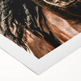 Majestic Horse Close-Up Wall Art | Rustic Farmhouse Decor for Country Homes