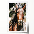 Majestic Horse Close-Up Wall Art | Rustic Farmhouse Decor for Country Homes