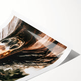 Majestic Horse Close-Up Wall Art | Rustic Farmhouse Decor for Country Homes