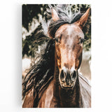 Majestic Horse Close-Up Wall Art | Rustic Farmhouse Decor for Country Homes
