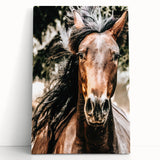 Majestic Horse Close-Up Wall Art | Rustic Farmhouse Decor for Country Homes