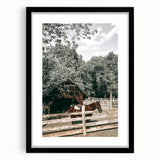 Rustic Horse & Barn Wall Art | Farmhouse Decor for Country-Style Homes