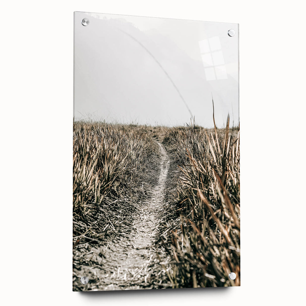 Solitary Grass Path Wall Art | Rustic Farmhouse Decor for Tranquil Homes