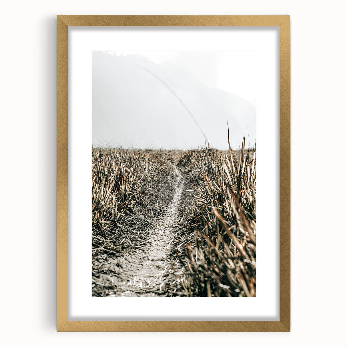 Solitary Grass Path Wall Art | Rustic Farmhouse Decor for Tranquil Homes