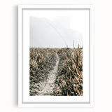 Solitary Grass Path Wall Art | Rustic Farmhouse Decor for Tranquil Homes