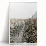Solitary Grass Path Wall Art | Rustic Farmhouse Decor for Tranquil Homes