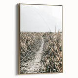 Solitary Grass Path Wall Art | Rustic Farmhouse Decor for Tranquil Homes