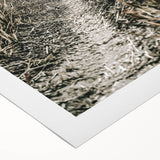 Solitary Grass Path Wall Art | Rustic Farmhouse Decor for Tranquil Homes