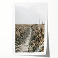 Solitary Grass Path Wall Art | Rustic Farmhouse Decor for Tranquil Homes