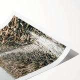 Solitary Grass Path Wall Art | Rustic Farmhouse Decor for Tranquil Homes