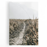 Solitary Grass Path Wall Art | Rustic Farmhouse Decor for Tranquil Homes