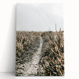 Solitary Grass Path Wall Art | Rustic Farmhouse Decor for Tranquil Homes