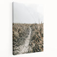 Solitary Grass Path Wall Art | Rustic Farmhouse Decor for Tranquil Homes
