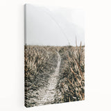Solitary Grass Path Wall Art | Rustic Farmhouse Decor for Tranquil Homes