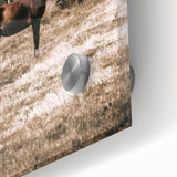 Serene Horse in Field Wall Art | Rustic Farmhouse Decor for Country Homes