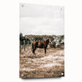 Serene Horse in Field Wall Art | Rustic Farmhouse Decor for Country Homes