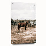 Serene Horse in Field Wall Art | Rustic Farmhouse Decor for Country Homes